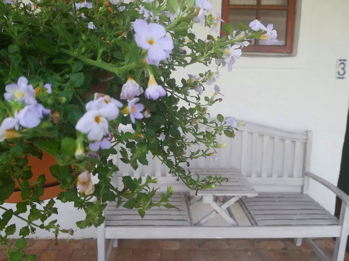 Kaijaiki Country Inn And Restaurant Изерфонтейн Стая снимка